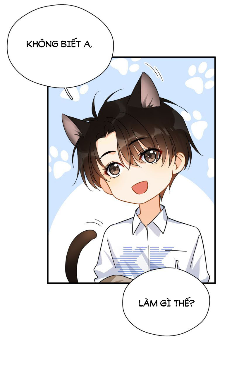 Theo Đuôi Chapter 39 - Next Chapter 40