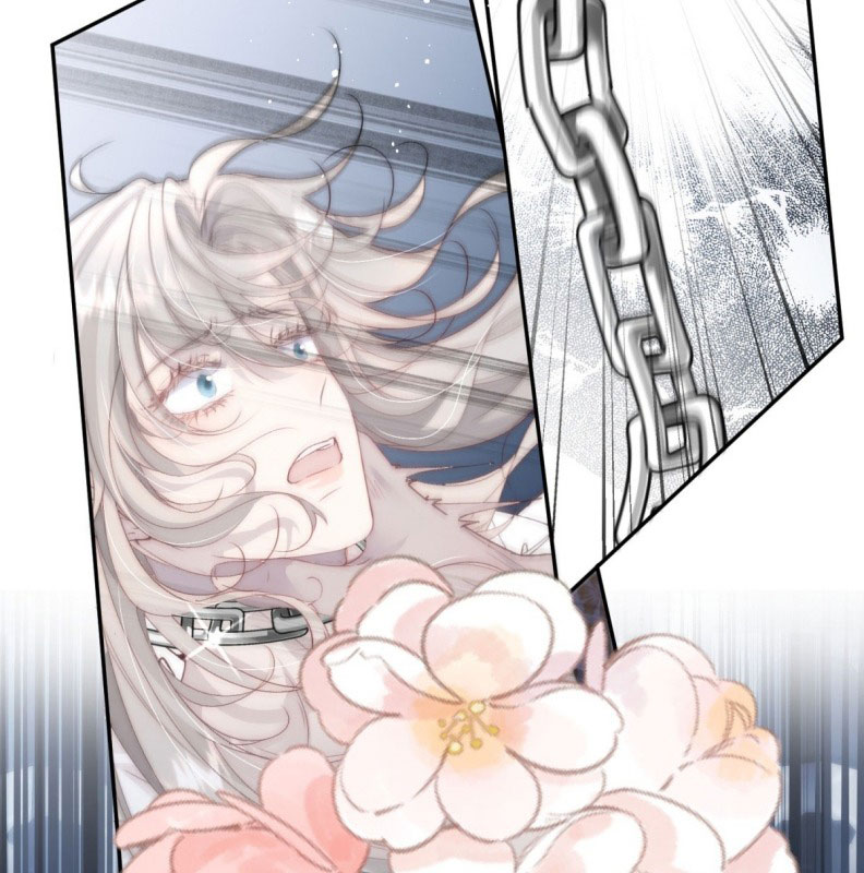 Lồng Tuyết Chapter 1 - Next Chapter 2