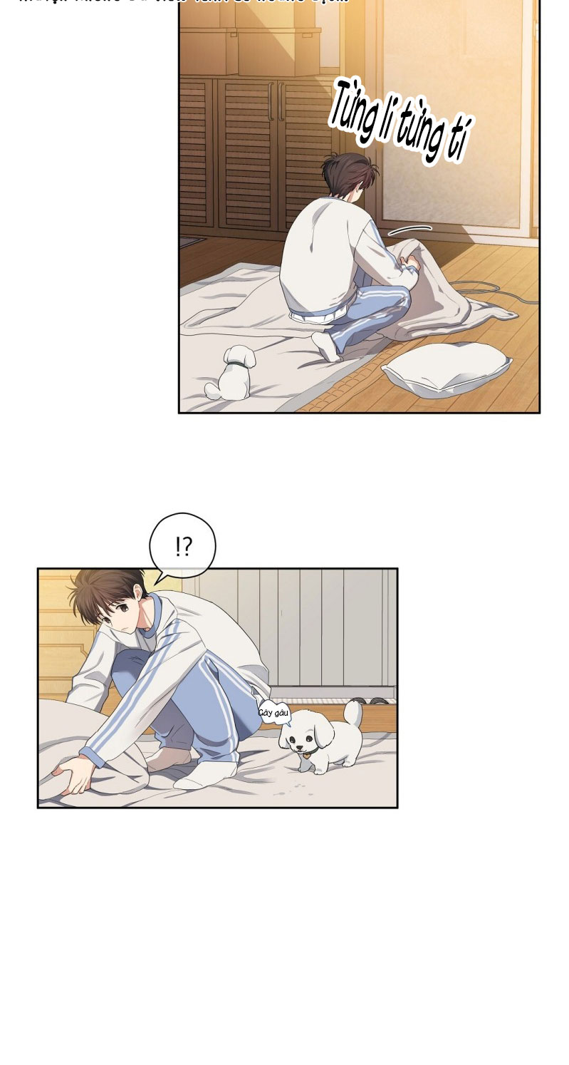 Cherry Cake Chapter 11 - Next Chapter 12