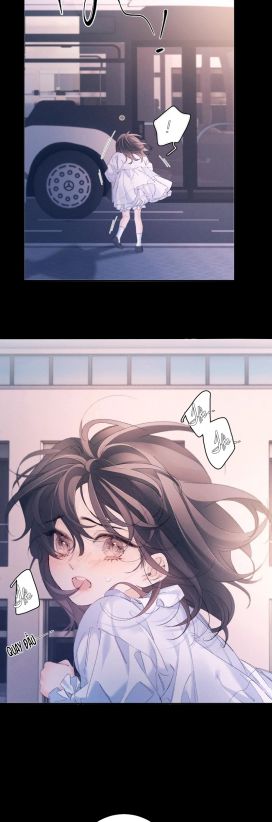 Cây Nấm Nhỏ Chap 52 - Next Chap 53