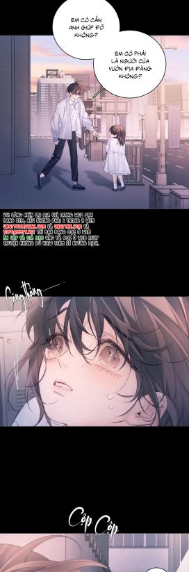 Cây Nấm Nhỏ Chap 52 - Next Chap 53