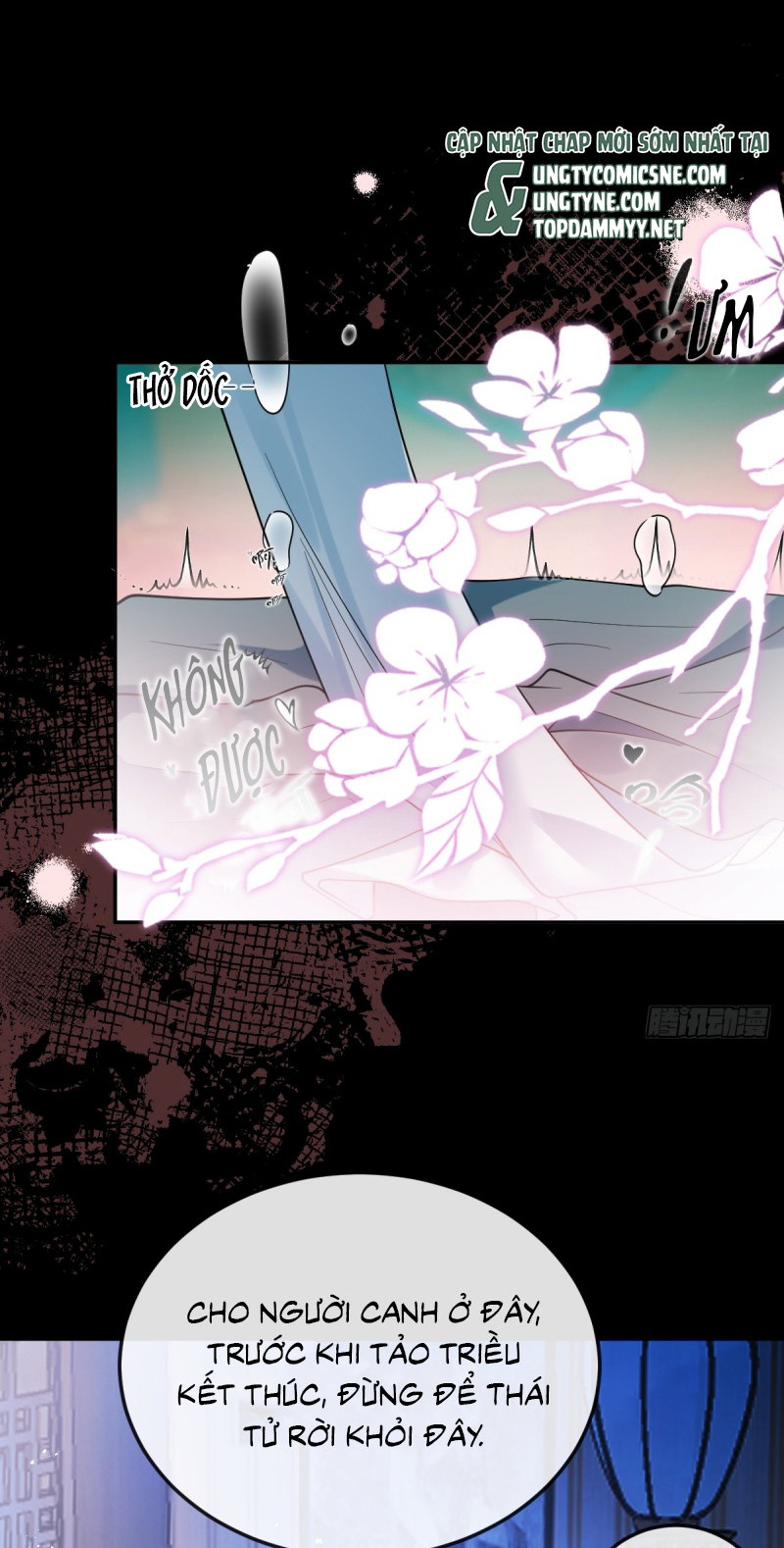 Lấy Trân Châu Làm Sính Lễ Chap 6 - Trang 2