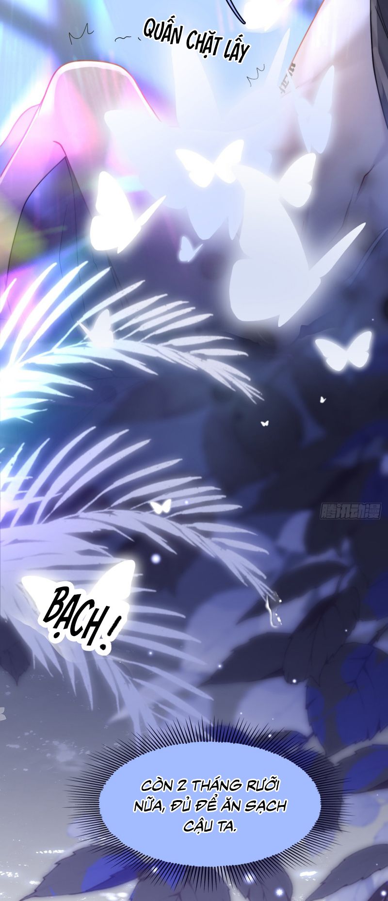 TÔI CỐ Ý GIẢ VỜ Chap 3 - Trang 2